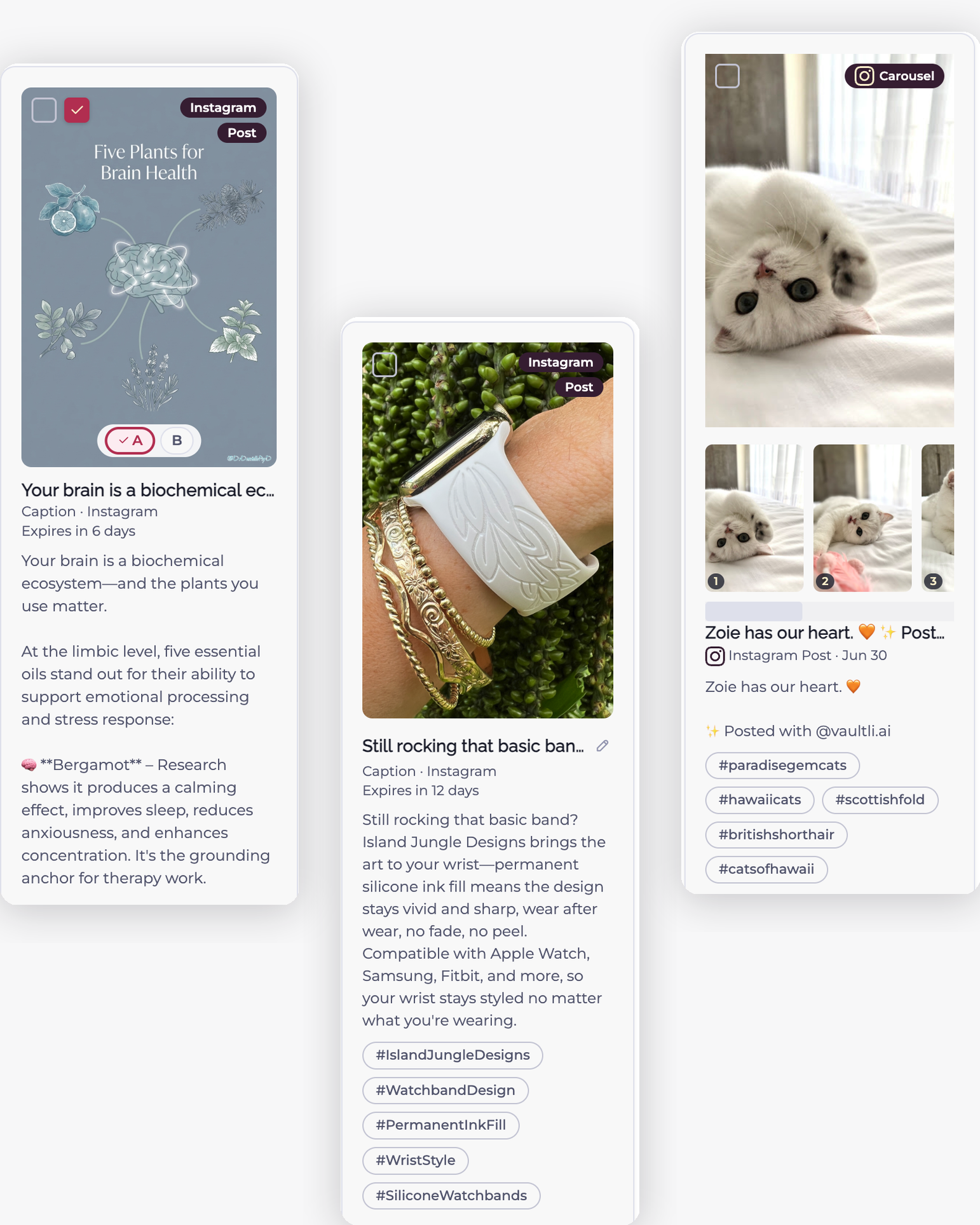 Example on-brand posts and captions created in Vaultli